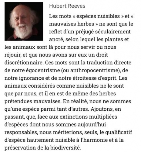 Hubert Reeves_n.jpg