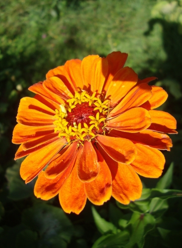 DSC00473.JPG