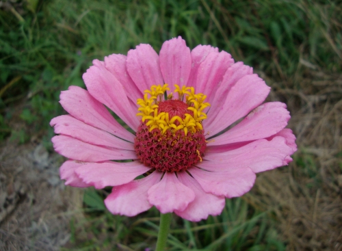 DSC00605.JPG