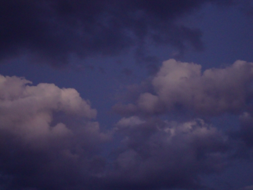 DSC00478.JPG