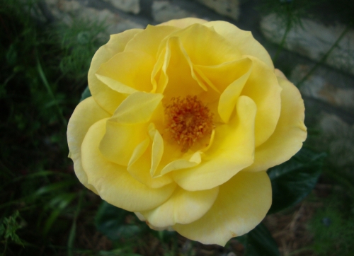 DSC06535.JPG