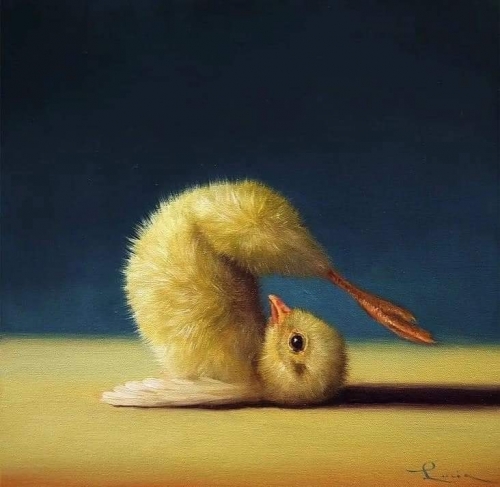 Lucia Heffernan (3).jpg