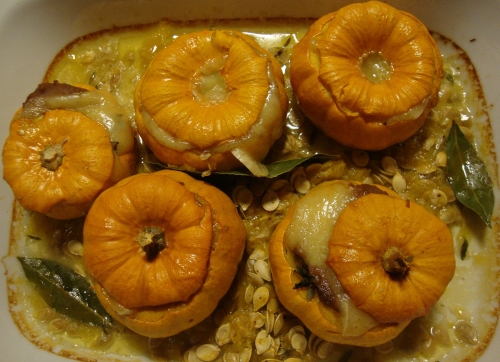 Little big jack châtaigne comté (4).JPG