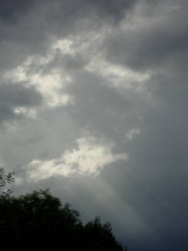 DSC08899.JPG
