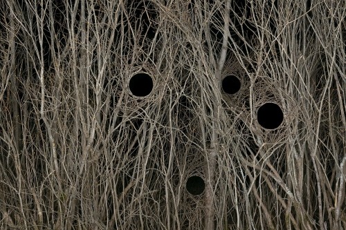 Antti Laitinen land art 0_n.jpg