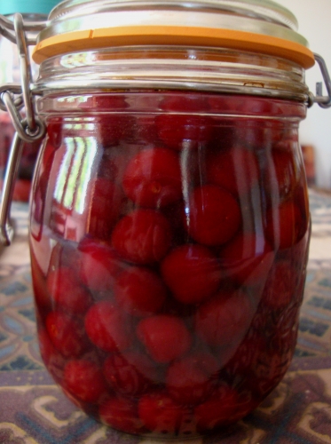 2026 05 1 Merises lactofermentées.JPG