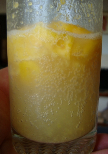 DSC07498.JPG