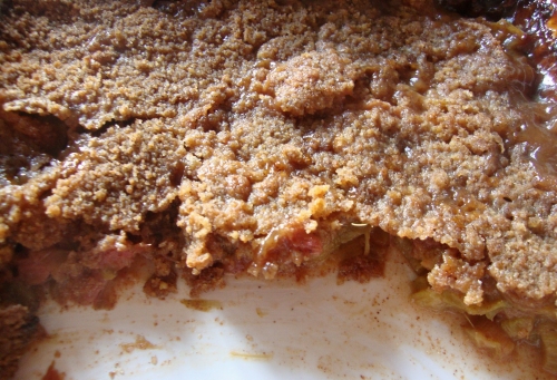 Crumble rhubarbe pomme bilva cannelle.JPG