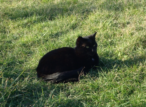 2026 03 1 Minos  (1).JPG