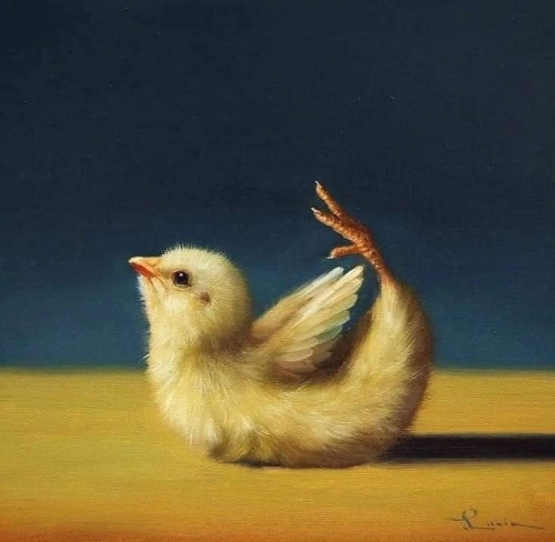 Lucia Heffernan (2).jpg