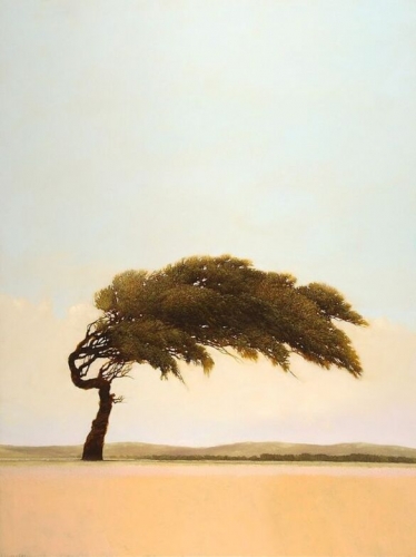 Robert Marchessault - Alameda.jpg