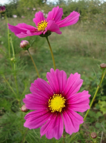 DSC00586.JPG