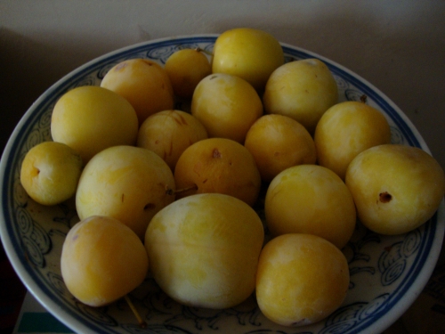 DSC09757.JPG