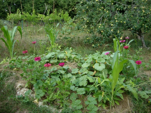 DSC07213.JPG