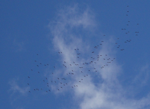 DSC00864.JPG