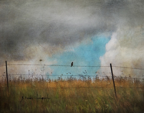 jamie_heiden_artistic_photography_13.jpg