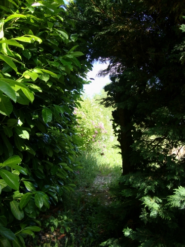 DSC09127.JPG