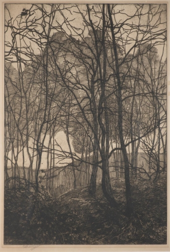 Vojtěch Preissig (1873 à Světec, Tchécoslovaquie - 11 juin 1944 à Dachau)8.jpg