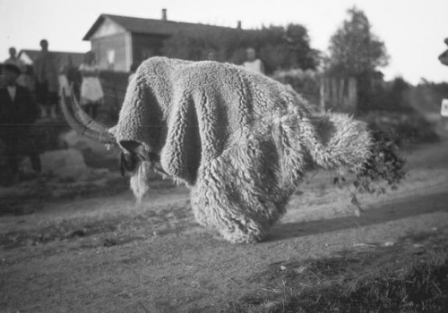 St Knut’s Day, January 13th, Finns take to the streets dressed as “nuuttipukit” (draped in goat skins and horns) to procure beer and leftovers after Christmas 1928 .jpg