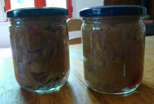 Chutney de pommes tombées pas mûres.JPG