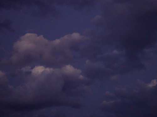 DSC00486.JPG