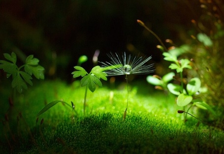 Marina Brydnya (2).jpg