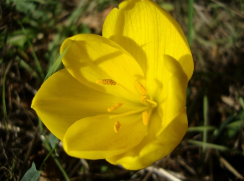 DSC00533.JPG