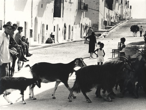 Mario Giacomelli Puglia 1958-e-1982  7.jpg