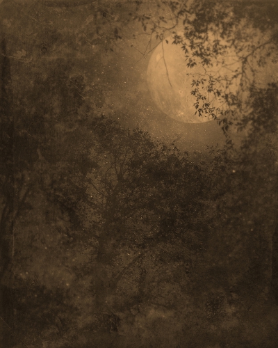 Ted Kincaid Nocturnal Landscape.jpg