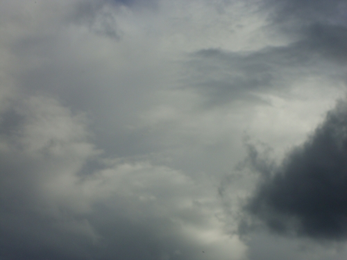 DSC08905.JPG
