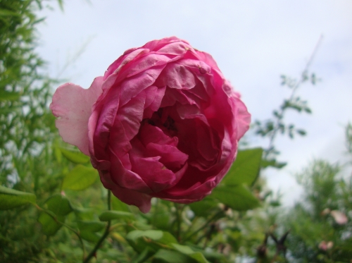 DSC00672.JPG