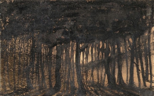 Victor Hugo Nox.jpg
