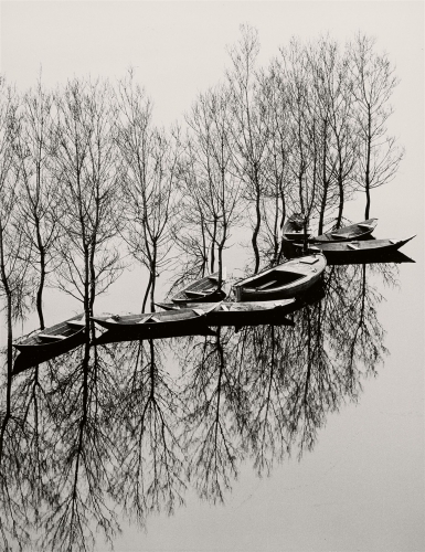 Toni Schneiders  Lindau Bodensee Hochwasser.jpg