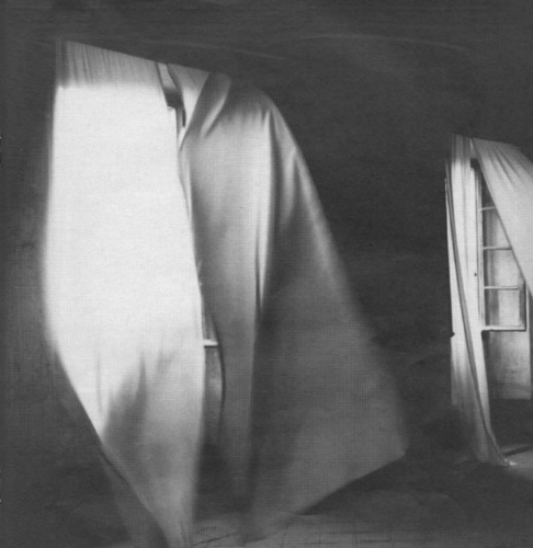 Felix-Gonzalez Torres Untitled (Blue curtains 1989-91.jpg
