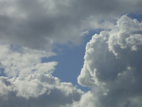 DSC08939.JPG