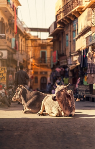Ashraful Arefin the_golden_city_jailsamer_streets Rajasthan_04.jpg