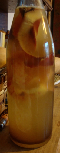 Kombucha pelure de pommes girofle cannelle.jpg