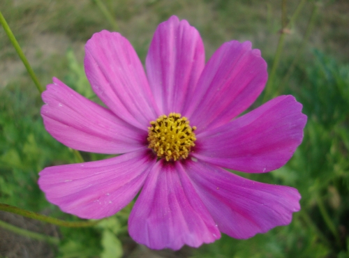 DSC00057.JPG