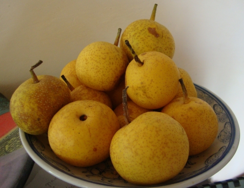 DSC07551.JPG