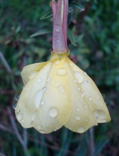 DSC00815.JPG