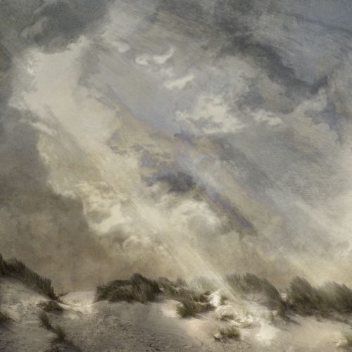 Saskia Boelsums Landscape161.jpg