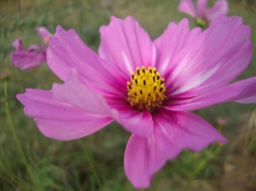 DSC00620.JPG