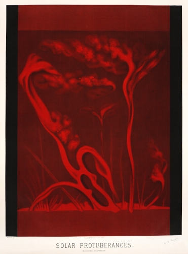 Étienne Léopold Trouvelot Solar protuberances  astronomical drawings 1882.jpg