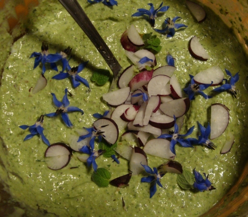 tartinade no spleen.JPG