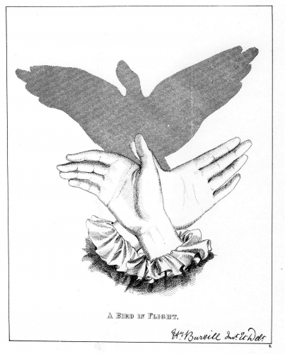 Henry Bursill, Hand Shadows To Be Thrown Upon The Wall.jpg