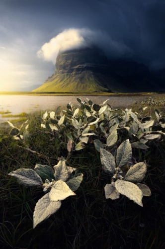 Filip Hrebenda south-Iceland-.jpg