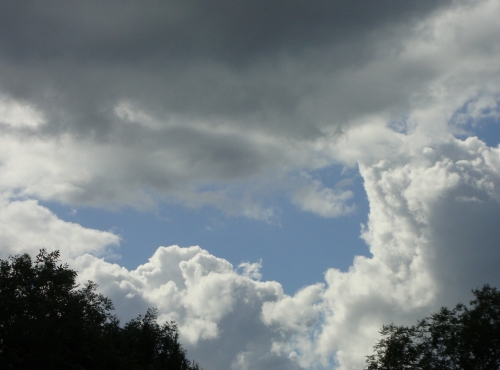 DSC08930.JPG