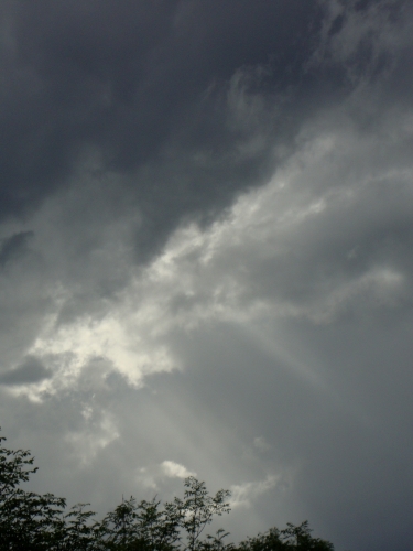 DSC08894.JPG