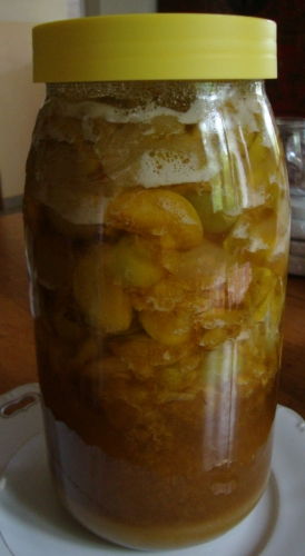 Cheong de prunes jaunes 2 kgs.JPG