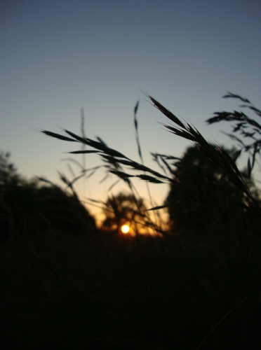 DSC09207.JPG